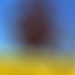 Widget